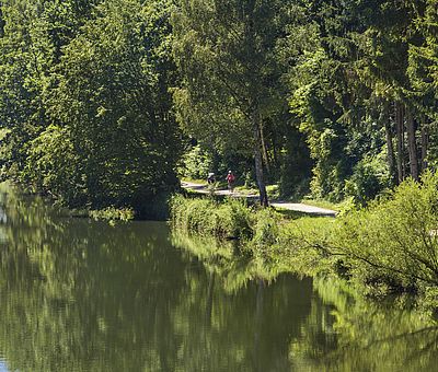 Donauradweg bei Günzburg